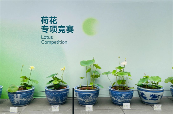 成都世園會邀八方來客中秋共赴“花”約!