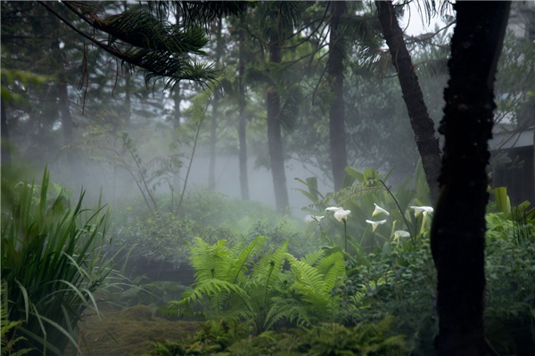 園冶杯參賽作品 | 麓湖W2悅溪樣板島