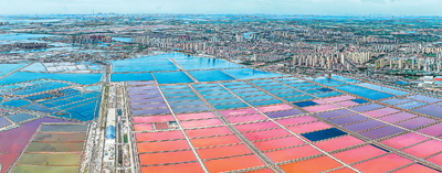 如何保護和展示海洋工業(yè)遺產(chǎn)？