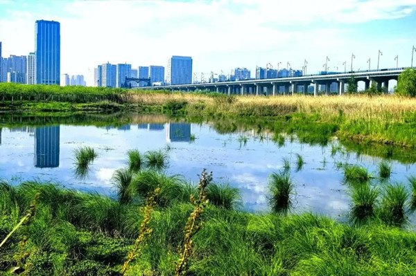 北京大學教授俞孔堅在巴西墜機遇難