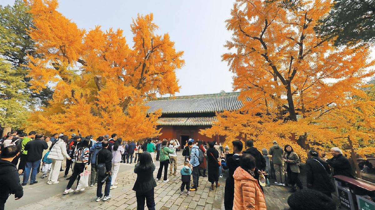 北京擬增加9家園林為第二批歷史名園