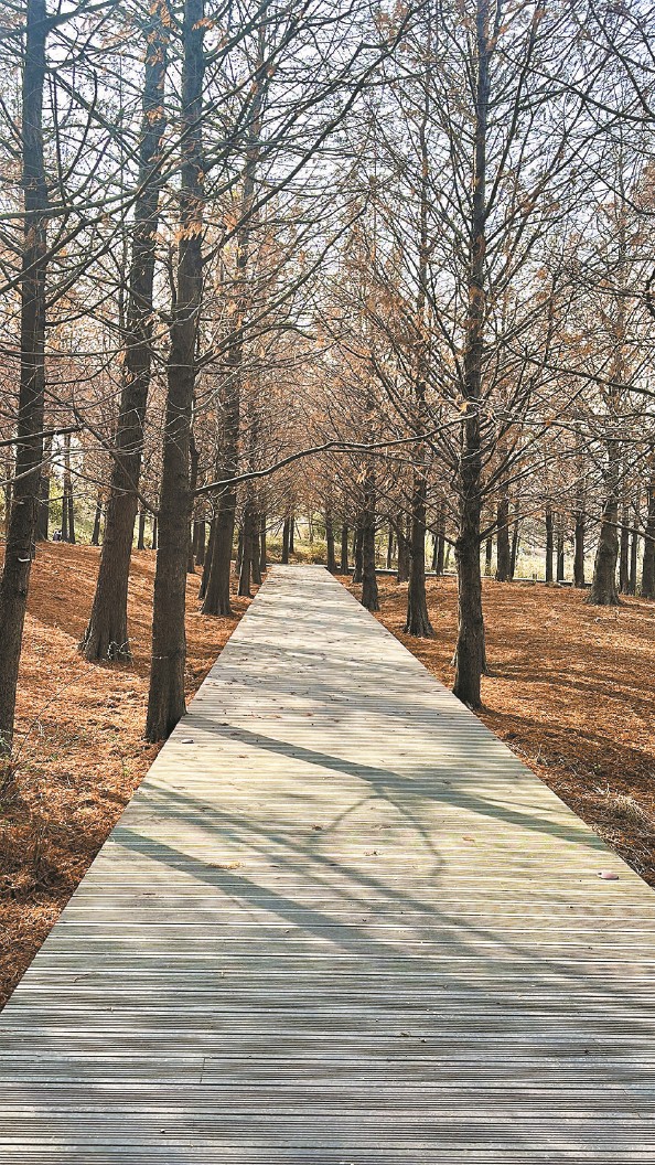 上海：“網紅公園”做對了什么？