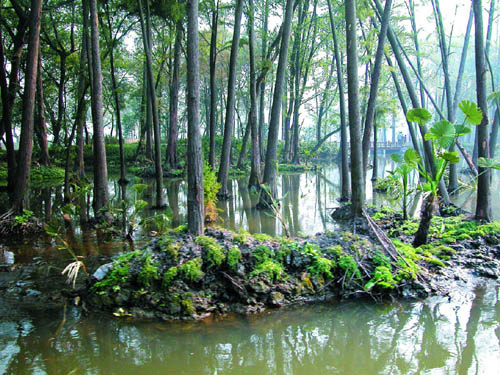 杭州西湖西進(jìn)區(qū)域規(guī)劃