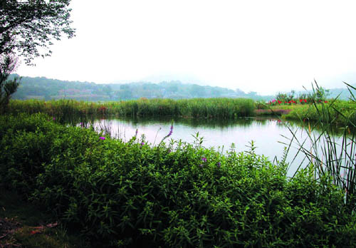 杭州西湖西進(jìn)區(qū)域規(guī)劃