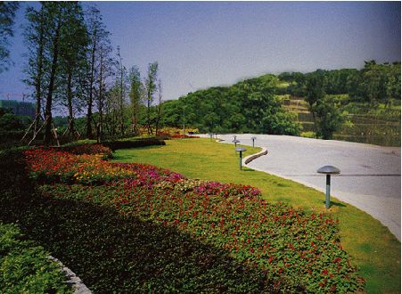 河南 綠化 公園