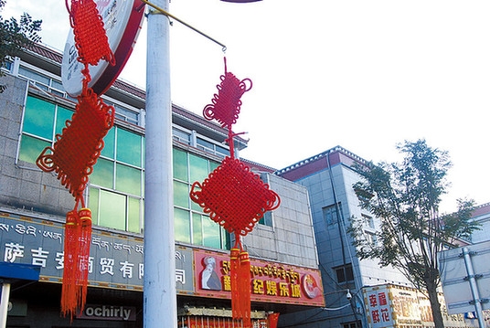 西藏：迎接黨的十八大2萬多盆鮮花裝扮拉薩