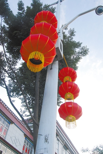 西藏：迎接黨的十八大2萬多盆鮮花裝扮拉薩