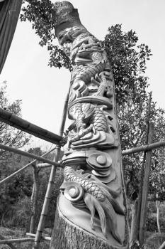 活樹(shù)雕刻是殘忍還是藝術(shù)？