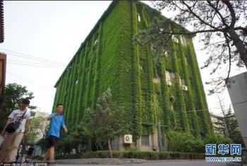 花木市場咨詢_資材資訊_花木頻道