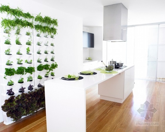 為陽臺、露臺和廚房設計的迷你垂直花園 中國風景園林網