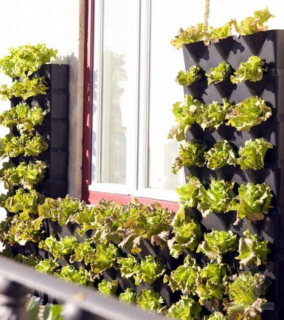 為陽臺、露臺和廚房設計的迷你垂直花園 中國風景園林網