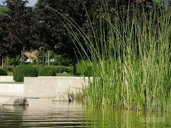 Garten Studio事務(wù)所設(shè)計的Graphisoft公園