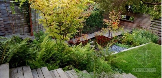 不用澆水的花園