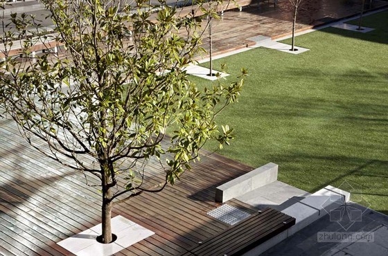 皇家墨爾本理工大學