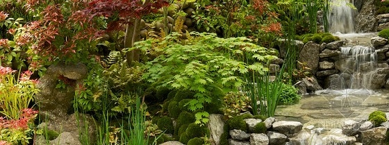 2013切爾西花展金獎:日本壁龕花園