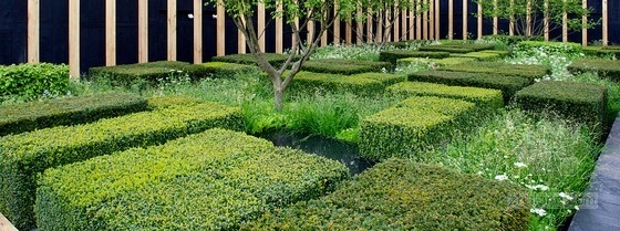 2013切爾西花展金獎:每日電訊報花園