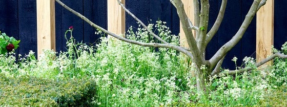 2013切爾西花展金獎:每日電訊報花園