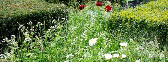 2013切爾西花展金獎:每日電訊報花園