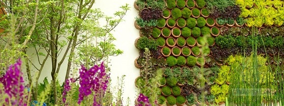 2013切爾西花展金獎:RBC深海屋頂花園