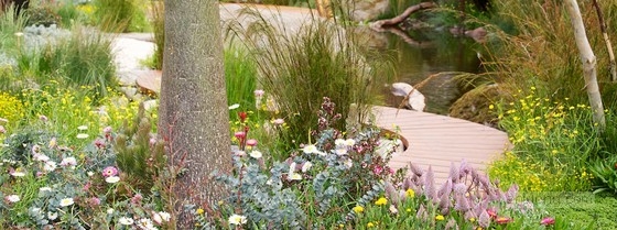 2013切爾西花展最佳花園獎