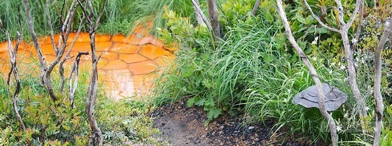 2013切爾西花展最具新意獎(jiǎng)——“浴火重生”花園