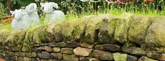 2013切爾西花展游客選擇獎——約克郡花園