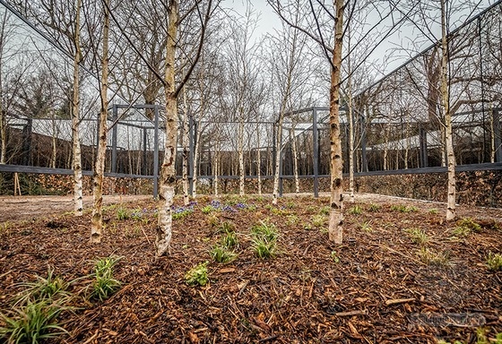 法國肖蒙國際園林展：具有無限深度的花園