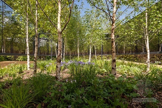 法國(guó)肖蒙國(guó)際園林展：具有無限深度的花園