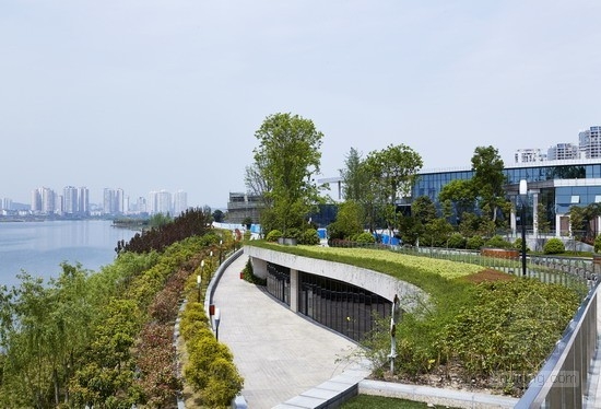 畢路德設(shè)計(jì)的四川遂寧涪江濕地公園