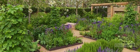 2013切爾西花展金獎:“播下改變之種”花園