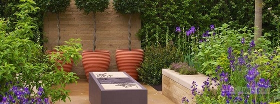 2013切爾西花展金獎:“播下改變之種”花園