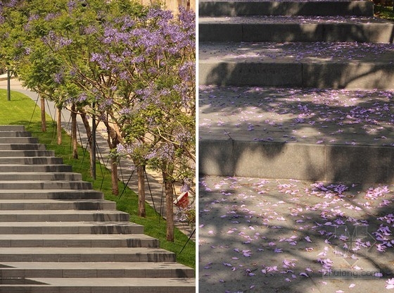 黎巴嫩貝魯特hariri紀念公園