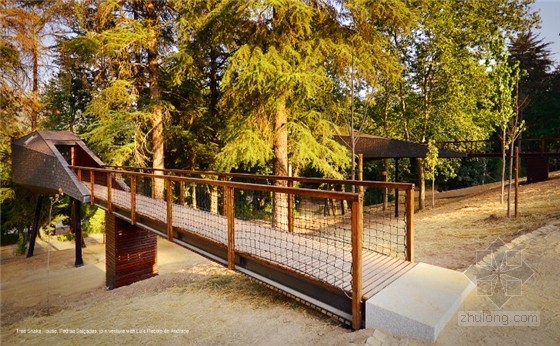 葡萄牙蛇形樹屋