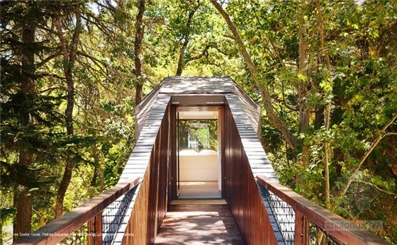 葡萄牙蛇形樹屋