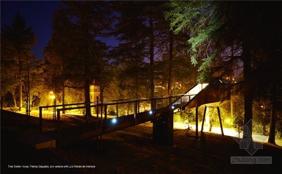 葡萄牙蛇形樹屋