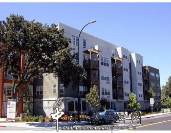 杰弗里·米勒：鐵馬公寓 柯金斯廣場景觀