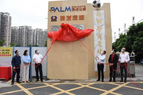 特發棕櫚公司成立 致力文旅體育