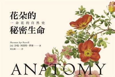 擁有花朵的人不需要神祇——讀《花朵的秘密生命》