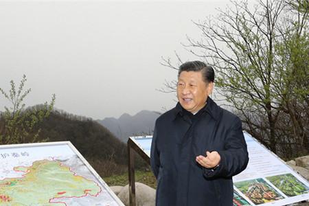 習近平:要做守護秦嶺生態的衛士