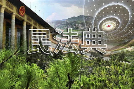 綠色原則：生態環境問題的民法回應