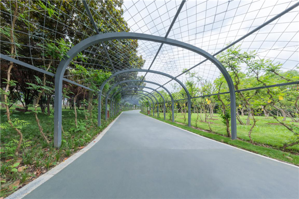 漢水公園海綿改造