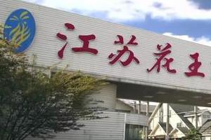 業績下滑 花王股份加碼文旅產業