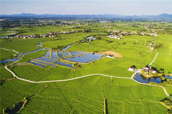 段進院士：規劃城市設計指南的思考