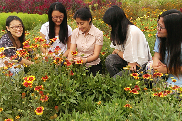 北林教授劉燕：生命繁花似錦