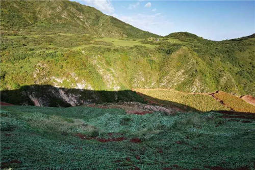 花式復綠暴露出哪些問題？