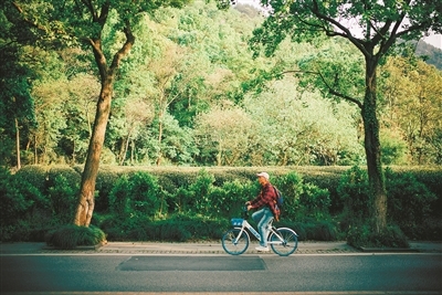 專(zhuān)家杭州為公園城市建設(shè)出謀劃策