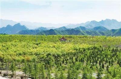 河南山水林田湖草生態修復規劃出爐