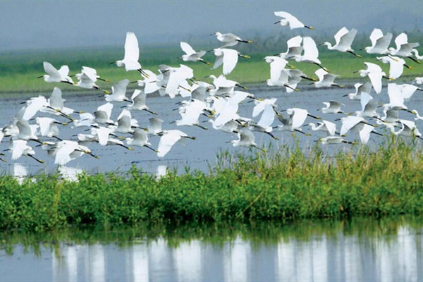 新的自然保護(hù)地管理體系優(yōu)勢(shì)何在