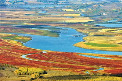 習(xí)近平關(guān)心濕地保護的故事