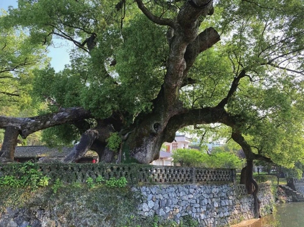 俞孔堅：欲望與景觀